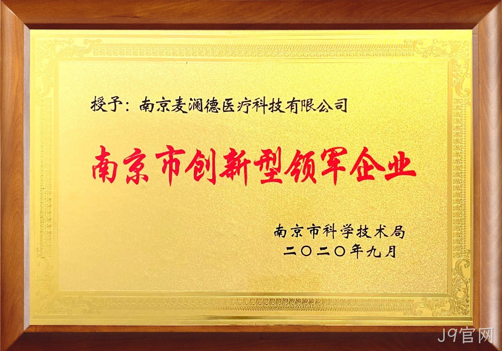 南京市创新型领军企业